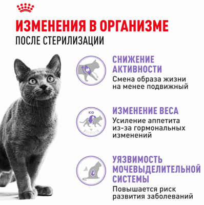 Корм сухой Роял Канин Стерилайзд 37 Кошка 0,4кг