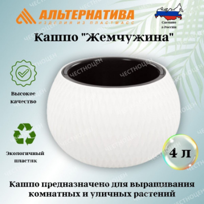 2132265a-3a92-11ef-82a1-361f8d6ebd02_bd2b855a-3cdc-11ef-85b3-361f8d6ebd02