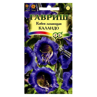 Изображение загружено