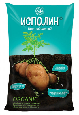 Изображение загружено