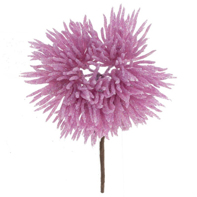 Изображение загружено